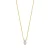 XENOX Ketting  goud / transparant