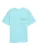 TOM TAILOR Shirt  blauw / turquoise