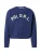 Polo Ralph Lauren Sweatvest  navy / pastelgroen