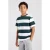 America Today gestreept T-shirt – wit