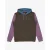 Hoodie Billabong Arch Block PO