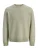 JACK & JONES Trui ‘JORNORREBRO’  pastelgroen