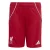 ADIDAS PERFORMANCE Sportbroek ‘FC Liverpool FC 25/26’  rood / wit