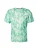 THE NORTH FACE Functioneel shirt  groen / mintgroen / wit