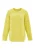 Sookie Trui  limoen
