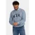 New Zealand Auckland regular fit sweater met print – soft ocean