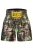 Benlee Sportbroek ‘Uni Thai’  sand / donkerblauw / donkerbruin / olijfgroen