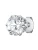 True Rebels Oorbel  zilver