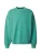 Carhartt WIP Sweatshirt ‘Benton’  turquoise