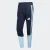 ADIDAS PERFORMANCE Sportbroek ‘AFA TR PNT’  navy / lichtblauw / wit