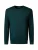 PIERRE CARDIN Trui  donkergroen