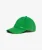 Geborduurde Vintage pet Groen
