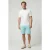 Cars Jeans Wall Short Mint