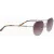 Scotch & Soda Eyewear Cologne Ss6016 402 Shiny Gold 52/17-145