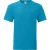 Fruit Of The Loom Heren Iconisch T-shirt (Azuurblauw)
