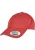 Flexfit Pet  pink
