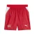 PUMA Sportbroek  rood
