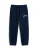 TOMMY HILFIGER Broek  donkerblauw / wit