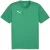 Puma Heren TeamFinal Training T-shirt (Groen/zilver)