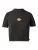 DICKIES Shirt  blauw / rood / zwart / wit