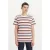 Levi’s Ss Printed T-shirt Multicolour