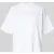 Carhartt Work In Progress Regular fit t-shirt van puur katoen model ‘CHESTER’