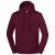 Fruit of the Loom Heren Iconic Premium Hoodie (Bourgondië)