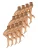 Nur Die Fijne panty ‘ Transparent 15 DEN ‘  beige