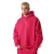 Hoodie Project X Paris Trainer