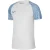 Nike Heren Academy Dri-FIT Jersey (Wit/blauw)