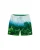 WE Fashion Zwemshorts  blauw / navy / groen / offwhite