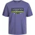 Jack & Jones Jorwalter tee