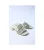 Hispanitas Dallas slippers groen dames