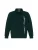 Dandalo Shirt  groen / wit
