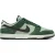Nike Dunk Sneakers Heren – Groen –