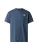 THE NORTH FACE Tricot ‘M RETRO EARTH RELAXED SHORT SLEEVE TEE-G’  grijs / donkergroen