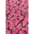White Stuff Lindsay Linen Blend Dress Pink Print