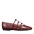 – Coccinellesven Shiny in rood