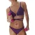 Love Stories Coral Swimbrief Purple