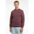 CHASIN’ regular fit sweater met backprint – huckleberry