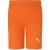 Puma Heren Liga Short Tights (Oranje)