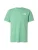 THE NORTH FACE Shirt ‘EVOLUTION BOX NSE’  groen / zwart / wit