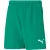 Puma Teamrise shorts voor kinderen