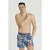 Arena Beach Short Allover Multicolor