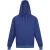 Regatta Heren Pro Overhead Hoodie (Nieuw Koninklijk)