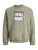 Jack & Jones Junior Sweatshirt ‘JCOFLARE’  grijs / wit