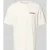 Dickies Regular fit T-shirt met motiefprint model ‘DRY RIDGE’