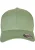 Flexfit Pet  groen / zwart / zilver