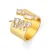 Luxenter Ring in Brilliant Metal en Zirconia Alloy afgewerkt in 18k geelgoud – Legin