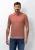 State of Art Polo 47516051